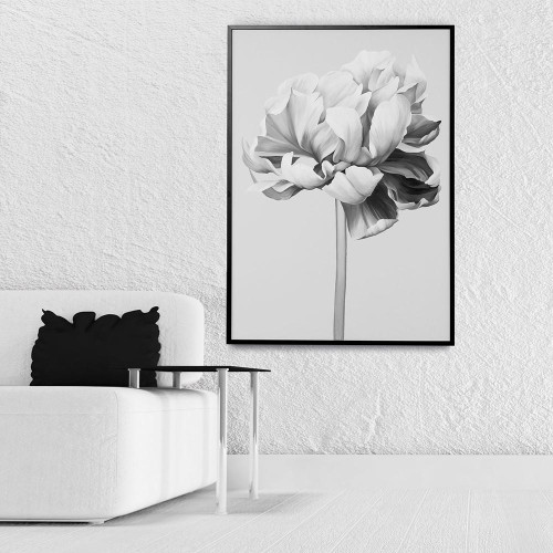 Картина BLACK AND WHITE PEONY
