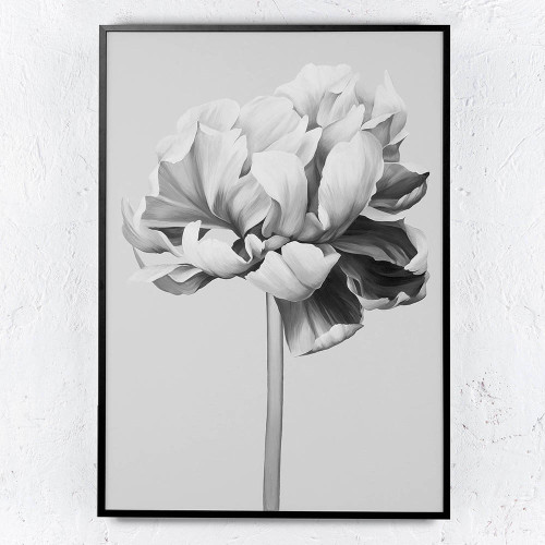 Картина BLACK AND WHITE PEONY
