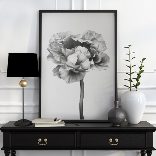 Картина BLACK AND WHITE PEONY 2
