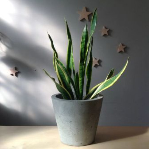 Flowerpot made of concrete "Cone 28"