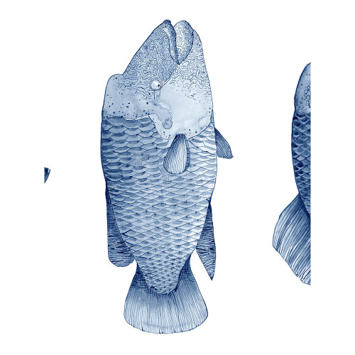 Design wallpaper "Pisces" design Litvinenko Yevhenii
